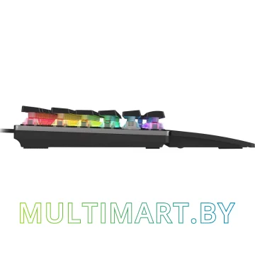 Клавиатура Genesis Thor 400 RGB (нет кириллицы) картинка 8
